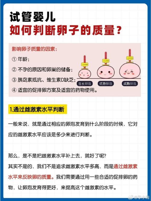 试管生卵原因解析：如何影响受孕成功率？