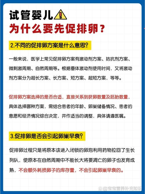 卵泡不排卵的女性能否通过试管婴儿实现怀孕？