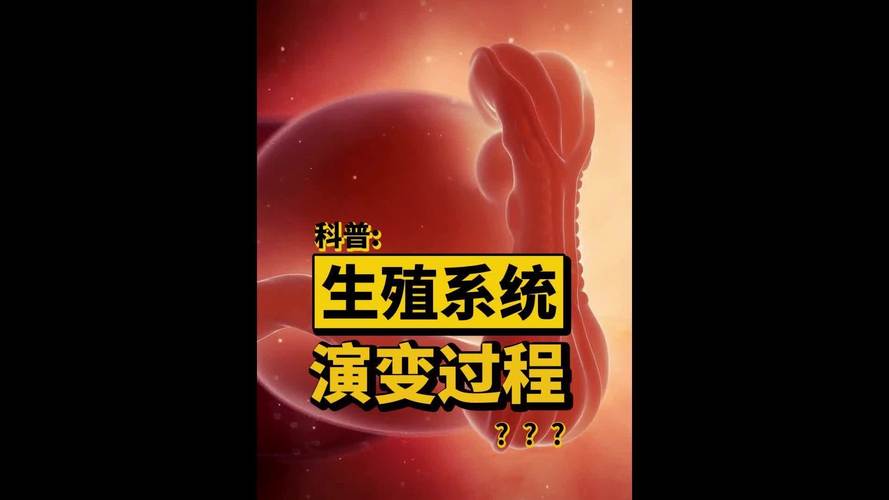 生殖医学发展