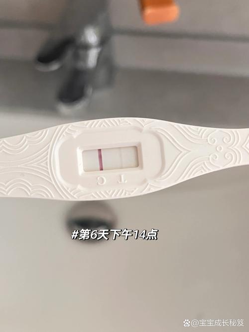 移植后7天