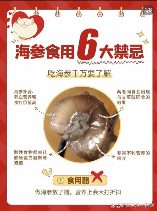 试管促排卵期间能否安全食用海参？