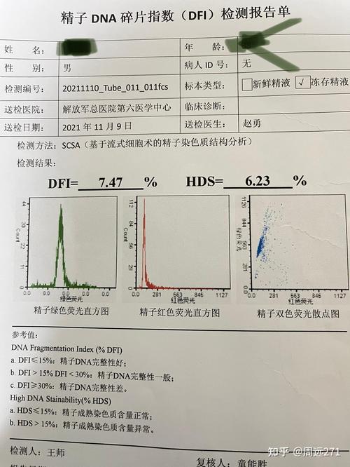  DNA碎片指数