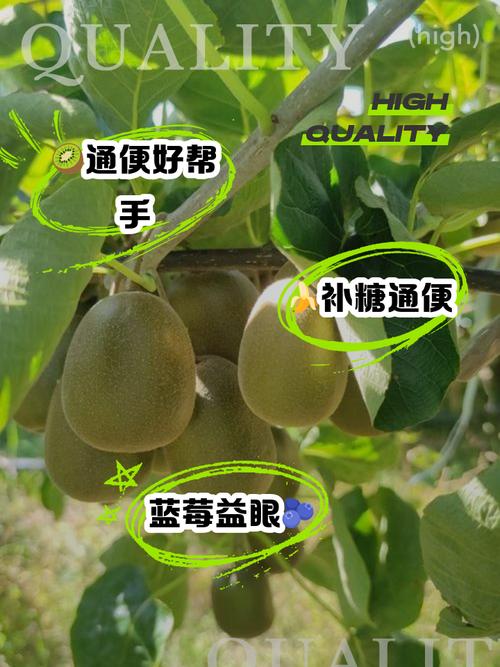 移植后水果