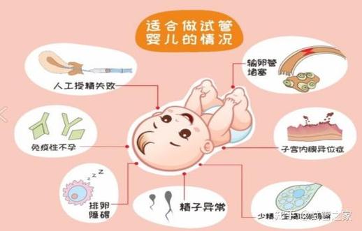 女性不排卵是否必须选择试管婴儿？专业解析