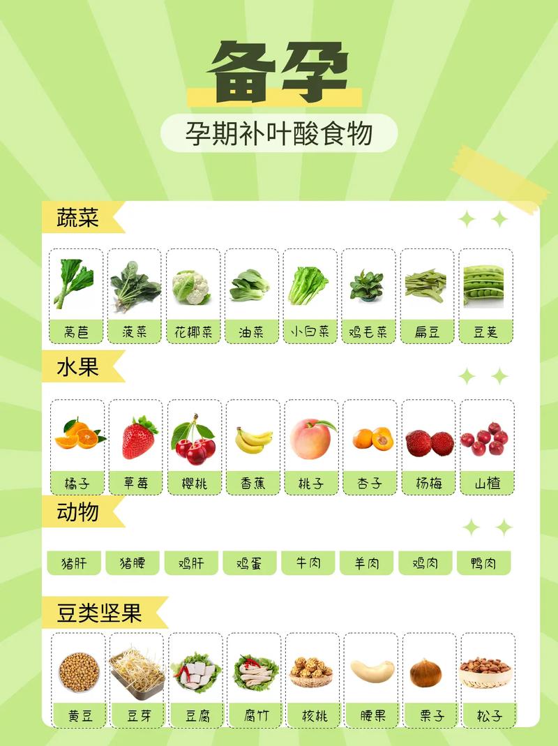 试管婴儿期间，应该补充哪些营养品？