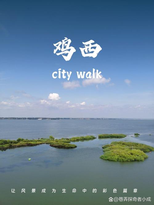 鸡西