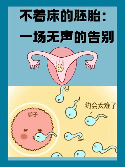 没用胚胎