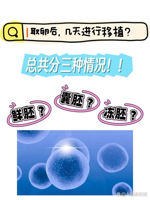 试管取卵后多久可以进行胚胎移植？