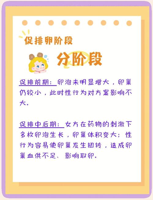 试管婴儿成功后多久可以同房？注意事项解读