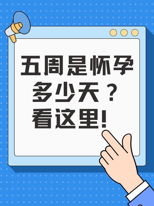  检查天数