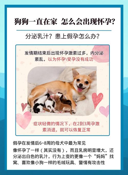 假孕现象