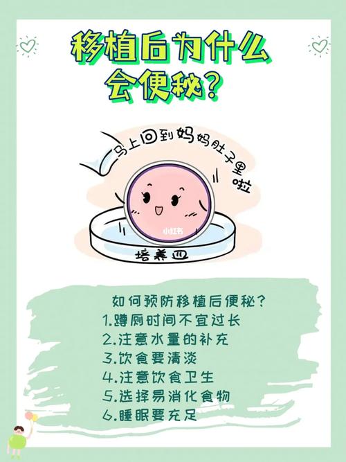 试管婴儿便秘怎么办？有效缓解措施与护理指导