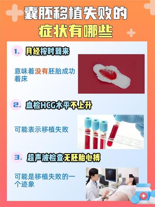 试管婴儿失败后多久可以再次尝试怀孕？