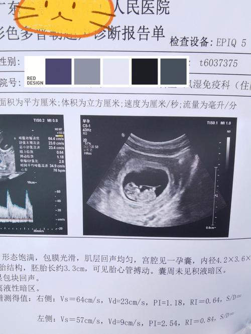 移植五十天