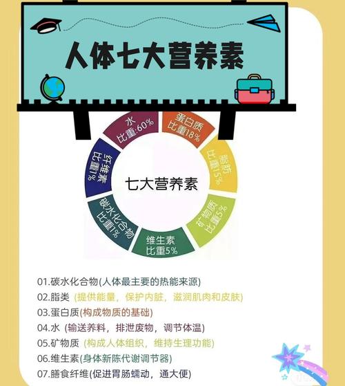 营养供给