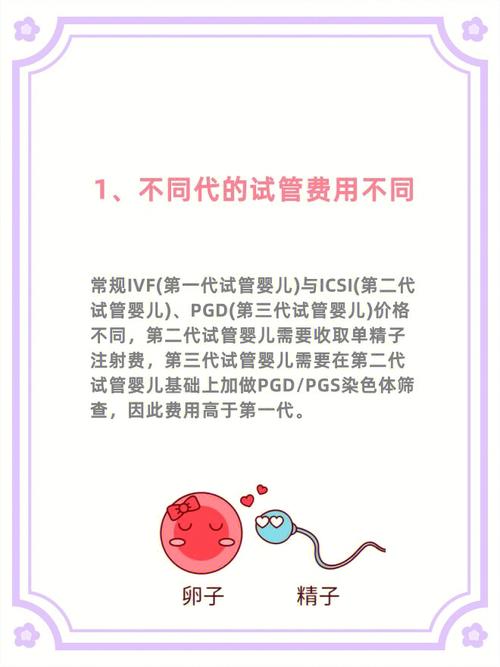 国内是否可以进行混血试管婴儿技术？解析与疑问