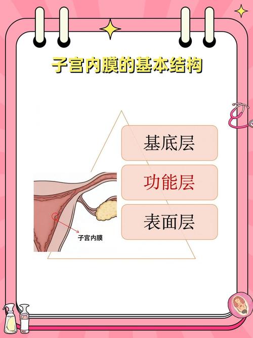  内膜生长