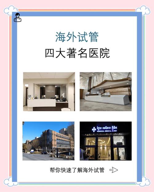 选择国外试管婴儿机构，哪家服务和成功率最好？