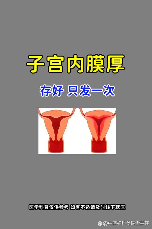  内膜质地