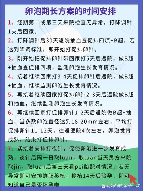 试管长方案
