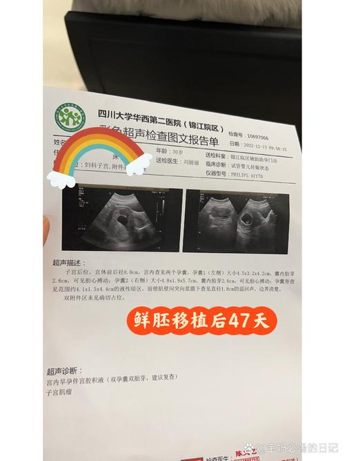 移植后47天