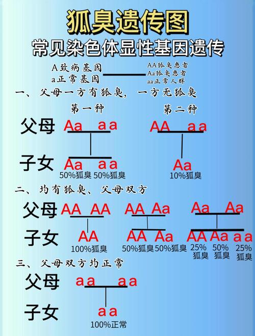 遗传概率