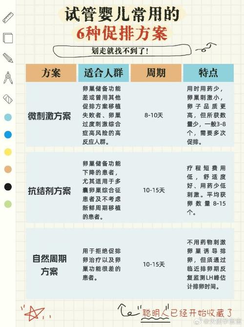 如果试管也做不成，该如何寻找其他解决方案？