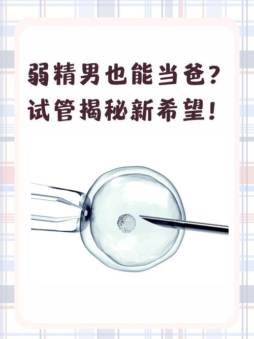 男性弱精症患者能否顺利进行试管婴儿治疗?