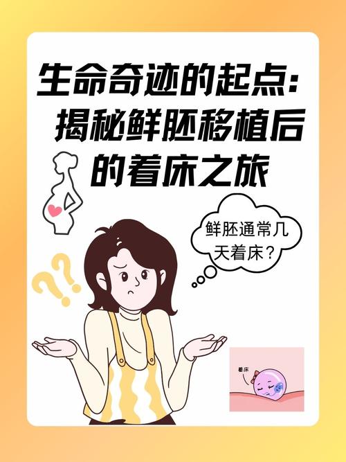 试管婴儿期间需要卧床休息吗？揭秘科学真相