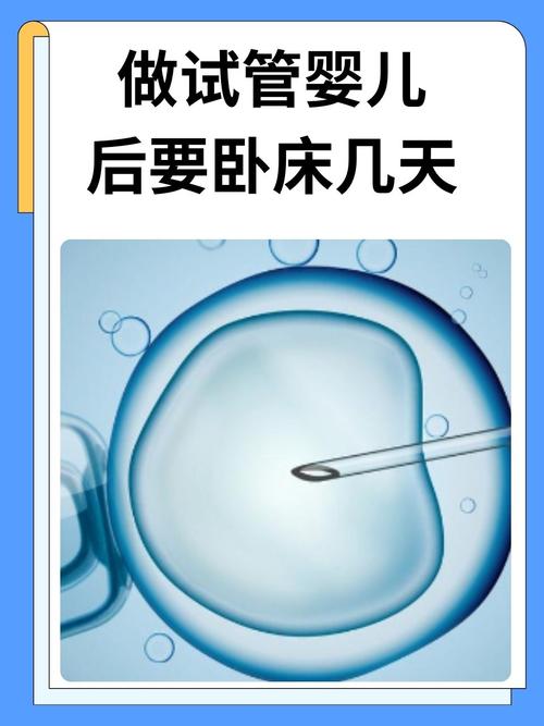 做试管婴儿期间是否需要卧床休息？专家告诉你真相