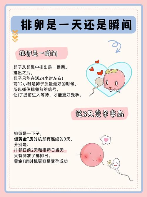  试管婴儿促排卵