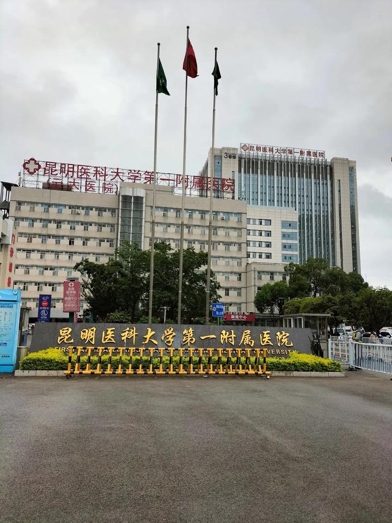  云大医院