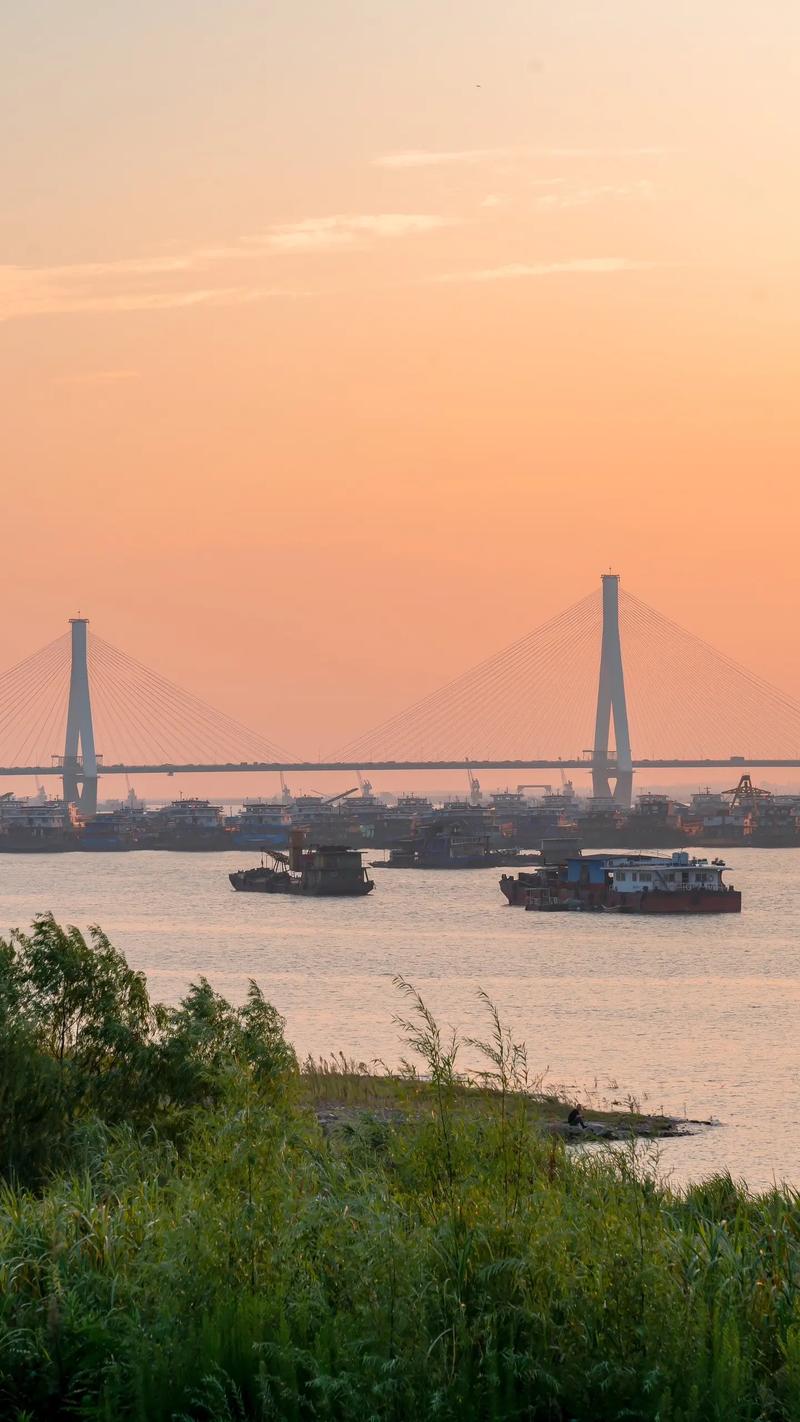  岳阳