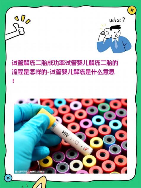 试管婴儿过程中的解冻到底是什么？详解其重要性与步骤