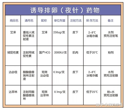 试管婴儿前必备药物指南：你需要了解什么？