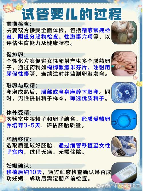 试管婴儿的科学原理：是否真的属于性生殖？