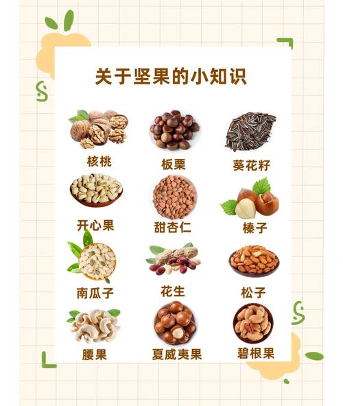 试管男性饮食指南：哪些坚果有助于提升生育力？