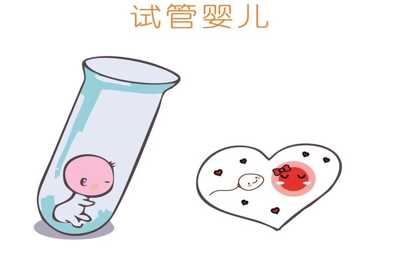 试管宝宝：为何少看却能取得丰硕成果？