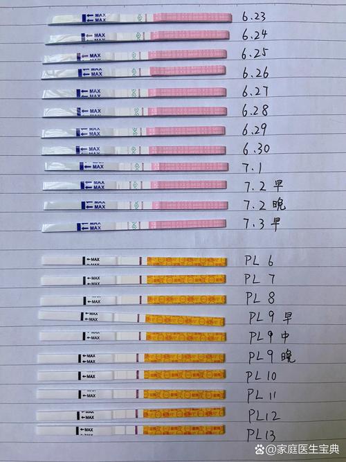  排卵检测