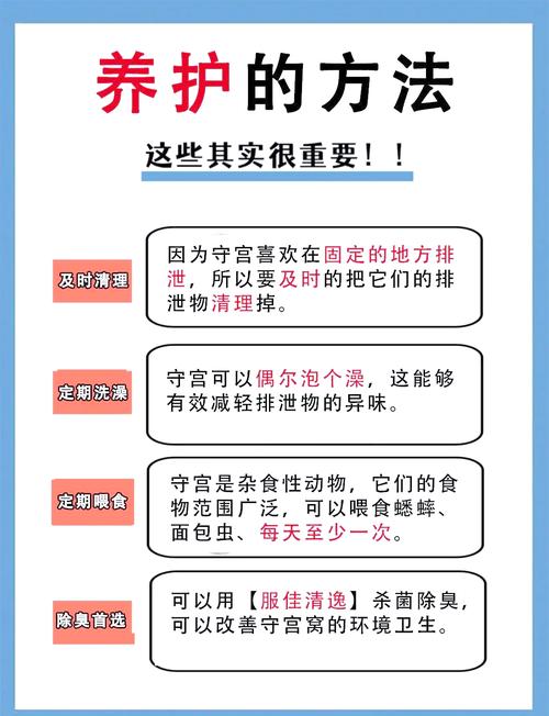  养护指南