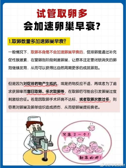 试管取卵是否会加速女性衰老进程？