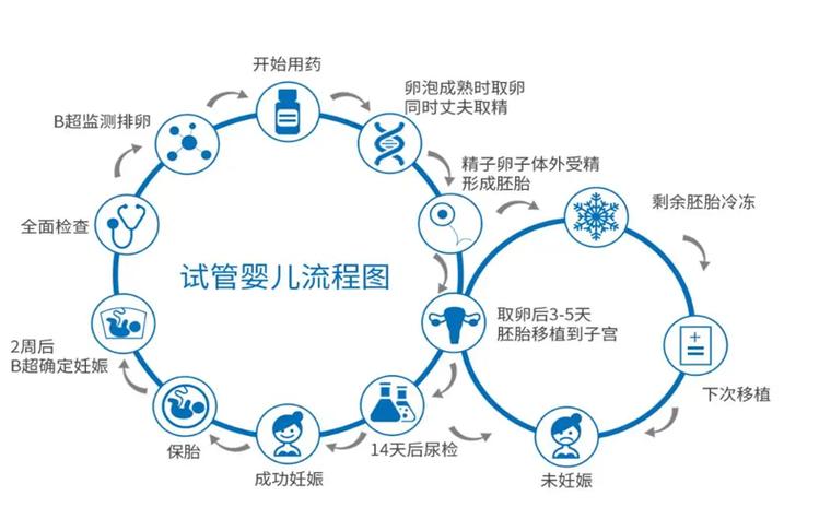 做试管婴儿前能否先保存精子？了解相关流程和注意事项