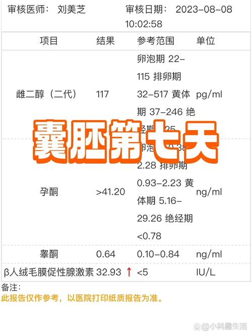 8月移植
