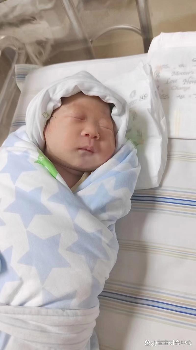 试管婴儿实例