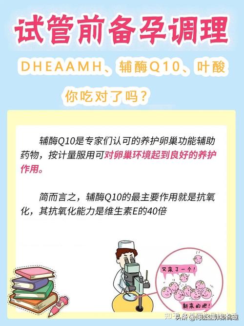 试管婴儿期间能否安全食用辅酶Q10？