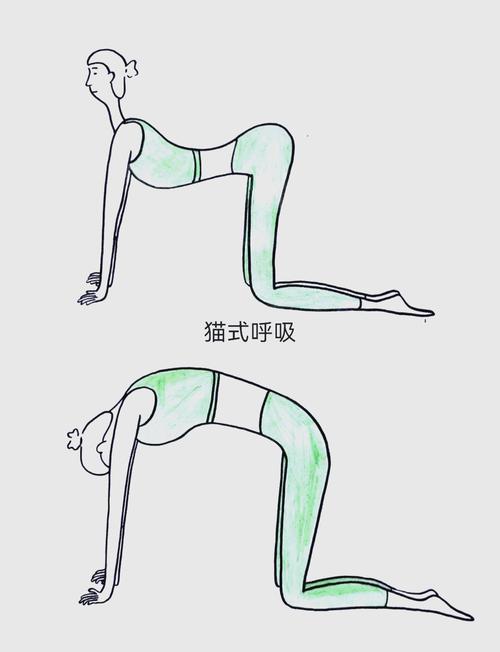 试管婴儿后多久可以安全练习瑜伽？