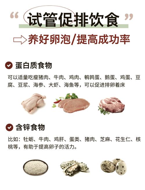 试管促排期间应该多吃哪些食物？专家推荐详解！