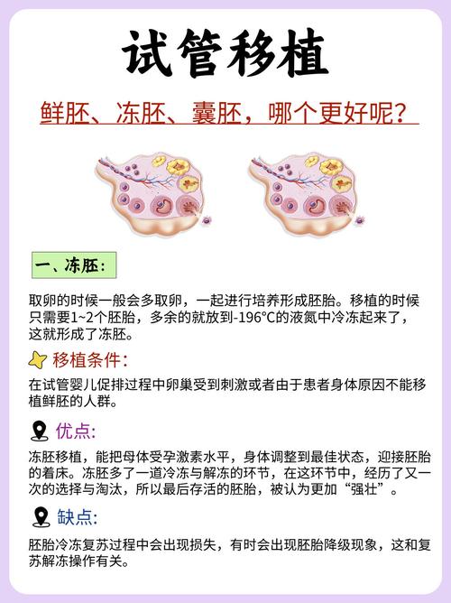 试管婴儿移植多少个胚胎才最合适？