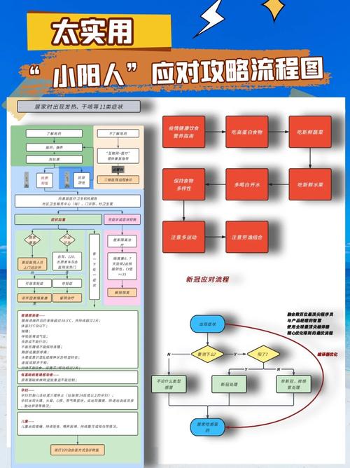 应对流程