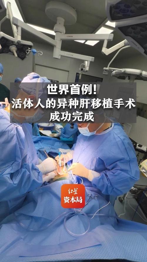 顺势移植